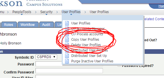 Copy user profiles are indicated on the screen image.