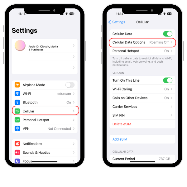 iphone screenshots of Settings screen and Cellular screen