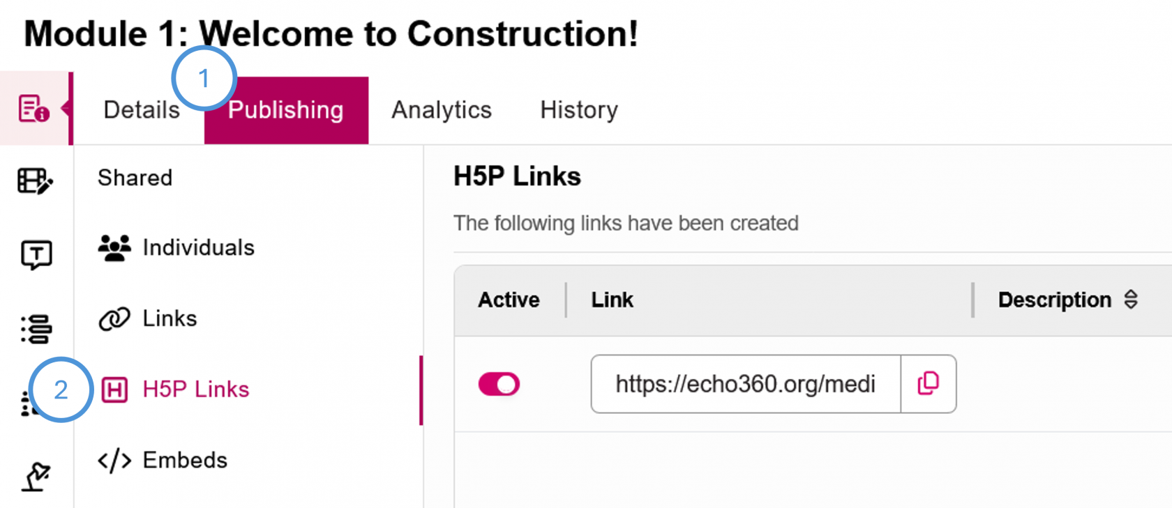 Publishing and H5P Link links