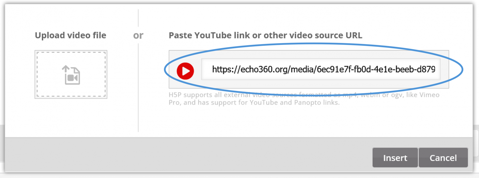 Video link area